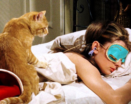 Hollywood hits that wouldn’t be the same without cats