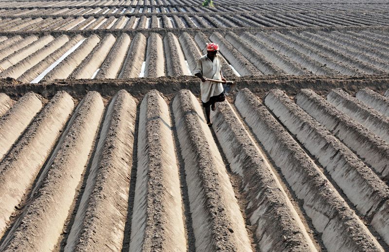 Steps for climate-resilient agriculture explored